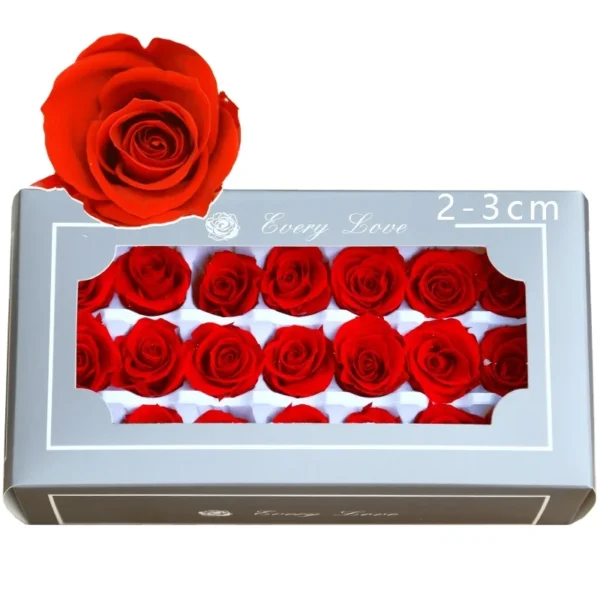 PRA02 Rose 2-3CM 44 Colors Romantic Real Natural Flower Luxurious Preserved Roses for Wedding Decoration