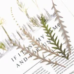 PPL24 Fern Small Eternal Imported Mutton Tooth by Handmade for Home Decor Event & Party Supplies and Beauty Appreciation - Image 2