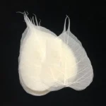 PPL39 Linden Leaves Vein Bodhi Tree Skeleton Leaves - Image 5