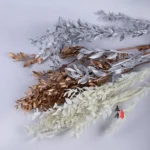 PPL33 Italian Ruscus Wholesale High Quality Dried Italian White Ruscus for Preserved Flowers Arrangement - Image 4