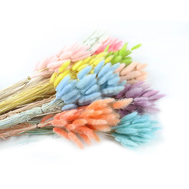 H0a7365eead474a56aa1c692d6b738c0f2.webp PPL30 Hare Tail Grass Hot Sell a Grade Real Natural Hare Dried Flowers Bunny tails Grass Dried Flower Pallas Grass - Image 1