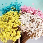 PPF28 Xiaoxinghua Decoration Gift Dried Preserved Babys Breath Gypsophila Flowers for Floral Arrangement - Image 5