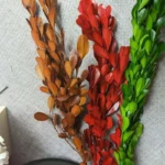 PPL06 Buxus Microphylla Dried Natural Preserved Boxwood Stems Boxwood Wreath Preserved Boxwood Topiary