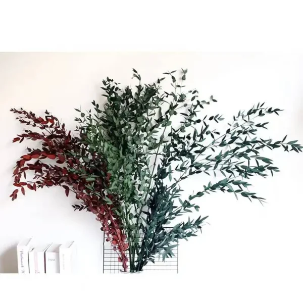 PPL21 E.tereticornis Dried Preserved Eucalyptus Teardrop Leaves Branches for Vase Filler BathroomWedding Arrangement Decor