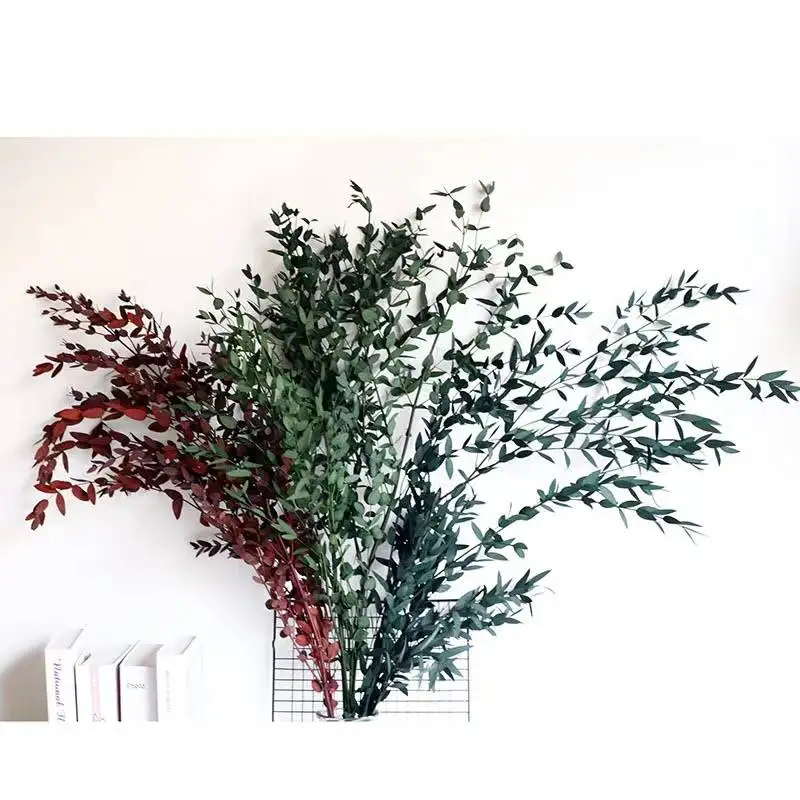 H14c12d7a9aba4a9d8c624f9a1453699eI.webp PPL21 E.tereticornis Dried Preserved Eucalyptus Teardrop Leaves Branches for Vase Filler BathroomWedding Arrangement Decor - Image 1