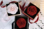 Wholesale Acrylic Flower Box Flower Acrylic Box Preserved Rose in Acrylic Box White - Image 3