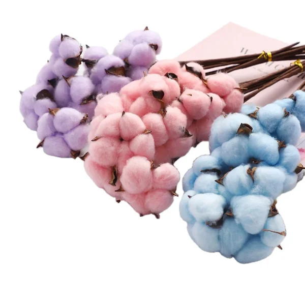 PPF06 Cotton Dried  Preserved Eternal  Flowers & Plants Truly Natural Flowers Wedding Home Decoration Flower Arrangement