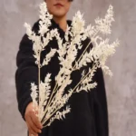 PPL33 Italian Ruscus Wholesale High Quality Dried Italian White Ruscus for Preserved Flowers Arrangement - Image 6