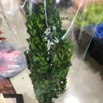 PPL06 Buxus Microphylla Dried Natural Preserved Boxwood Stems Boxwood Wreath Preserved Boxwood Topiary - Image 6