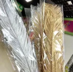 PPL59 Sago Cycas Leaf Pinnate Leaf Cycas Revoluta Thumb Preserved Flowers Sago Palm Leaves Dried for Wedding Decoration Popular - Image 3