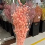 PPL51 New Grass Bamboo  INS Style Dried Oat Yellow Natural Preserved Dried Preserved Oats Flowers for Wedding Decoration - Image 5