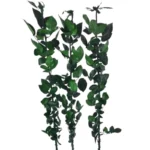 PPL71 Factory Wholesale 30cm 40cm 70cm Natural  Preserved Eternal Rose Stems for Home Decoration DIY Handmade Flower Arrangement - Image 2