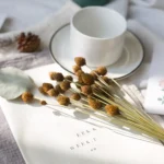 DFS54 Splicing Pinecone Flower Wholesale Natural Dried Flowers with Original Colors for Home Decoration and Flower Arrangement - Image 4