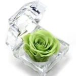 In Ring Box Crystal Eternal Forever Rose Valentine Mother's Day Gift with Preserved Rose - Image 5