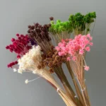 PPF27 Small Mountain Flower Wholesale Dried Mini Star Daisy Flower Real Natural Preserved Brazilian Star Flower - Image 4