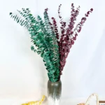 PPL62 Silver-leaved Mountain Gum(No Branches) Hot Selling Preserved Real Eucalyptus Leaves for Home Wedding Decoration
