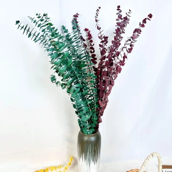PPL62 Silver-leaved Mountain Gum(No Branches) Hot Selling Preserved Real Eucalyptus Leaves for Home Wedding Decoration