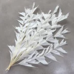 PPL25 Fishtail Leaf Wholesale Real Natural Flower Big Leaves Preserved Ruscus for Flower Arrangement