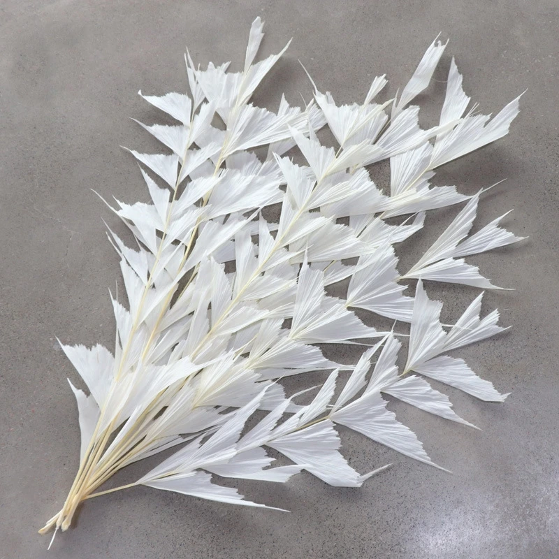 H1b93c110d7e54495a7141c59ba5ca71fH.webp PPL25 Fishtail Leaf Wholesale Real Natural Flower Big Leaves Preserved Ruscus for Flower Arrangement - Image 1