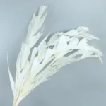 PPL25 Fishtail Leaf Wholesale Real Natural Flower Big Leaves Preserved Ruscus for Flower Arrangement - Image 2