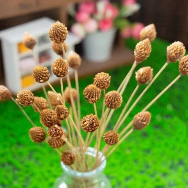 DFS54 Splicing Pinecone Flower Wholesale Natural Dried Flowers with Original Colors for Home Decoration and Flower Arrangement