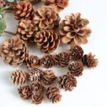 DFS55 Factory Price Splicing Pinecone for Valentine's Day Graduation Christmas Thanksgiving Occasions - Image 4