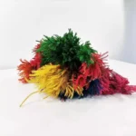 PPL13 Club Moss Decoration Flower Landscape Material Pine Tree Grass Dried Diaphasiastrum Veitchii Leaves Dried Club Moss - Image 2