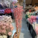 PPF10 Dianthus Chinensis Wholesale Hot Sale Wedding Decoration Flowers Baby Breath  Natural Preserved Eternal Flowers - Image 4