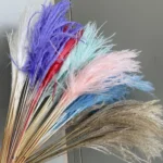 PPL47 Romantic Preserved Dried Flowers Miscanthus Saccharifleus Asparagus Virgatus for Home Wedding Decorations Mother's Day - Image 2