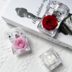 In Ring Box Crystal Eternal Forever Rose Valentine Mother's Day Gift with Preserved Rose