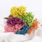 PPF28 Xiaoxinghua Decoration Gift Dried Preserved Babys Breath Gypsophila Flowers for Floral Arrangement - Image 4