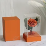 Top Seller Decoration Flower Real Touch  Long Life Eternal Preserved Roses in Acrylic  Box for Valentine Gifts - Image 4