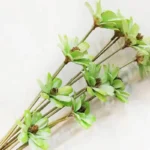 DFF58 Splicing Melon Seed Flower Dried Flower Wholesale Fruit Shell Melon Seeds Handmade Bouquet Flower Arrangement - Image 5