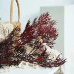 PPL60 Silver Birch 'Bosi' Natural Leaf for Festival Decoration High Quality Private Label Graduation Christmas Thanksgiving - Image 2