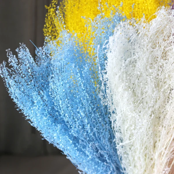 PPL37 Lepidium Apetalum Hanging Plant Ivy Hanging Garland Succulent String of Pearls for Wall Home Decor Natural Immortal Plant