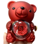 Factory Wholesale Teddy Bear Heart Shape Handmade Eternal Preserved Roses Acrylic Gift Box New Style Valentine's Day Graduation