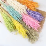 PPS15 's Most Popular Flower Dried Oat Flowers for Wedding/Home Decor Preserved Plants for Bouquet - Image 3