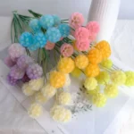 PPS17 Pristimera Cambodian Natural Dried Flower Windmill Fruits Stabilized Plants Immortal  Garden Decor Wedding Decoration - Image 3