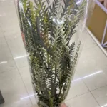 PPL24 Fern Small Eternal Imported Mutton Tooth by Handmade for Home Decor Event & Party Supplies and Beauty Appreciation - Image 6