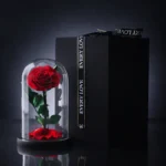 High-grade Gift Boxed Preserved Roses in Glass Dome Creative Gift Ideas Mother's Day San Valentines Day Girlfriend Wife Gift - Image 5