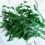 PPL09 Chasmanthium Latifolium High Quality Wholesale Dried Flowers Bouquet Chasmanthium Latifolium for Wedding/Home Decoration - Image 6