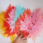 PPL16 Davallia Mariesii Best Selling Popular High Quality Preserved Flowers Plants Dried Alphine Fern Leaf for Home Decoration - Image 4