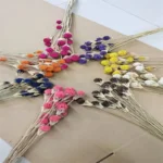 DFF55 Splicing Liquidambar Formosana Hance Seeds Dried Mckinley Flower Natural Maple Fruit Colorful Nature Sweetgum Flowers - Image 4