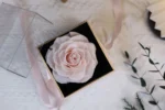 Wholesale Acrylic Flower Box Flower Acrylic Box Preserved Rose in Acrylic Box White - Image 4