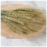 PPS02 Natural Preserved Dry Wheat Vase for Home Decoration Hot Factory Arrangement for Christmas Valentine's Day Graduation - Image 4