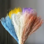 PPL37 Lepidium Apetalum Hanging Plant Ivy Hanging Garland Succulent String of Pearls for Wall Home Decor Natural Immortal Plant - Image 3