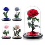 Beauty and the Beast Rose Personalized Customized Forever Roses Real Preserved Eternity Rose in Glass Dome - Image 4