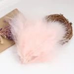 PPP01-Feather 100pcs/bag Assorted Colors 5-8cm Small Goose Fluffy Feathers for DIY Craft - Image 5