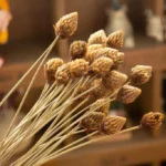 DFS54 Splicing Pinecone Flower Wholesale Natural Dried Flowers with Original Colors for Home Decoration and Flower Arrangement - Image 3