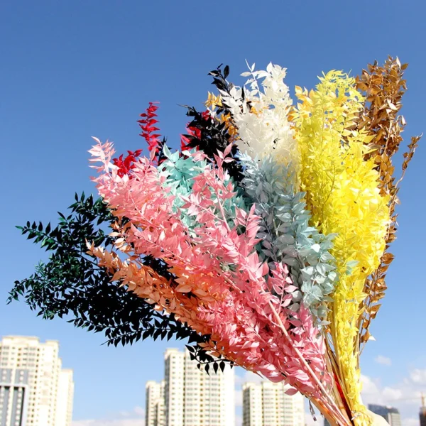 PPL33 Italian Ruscus Wholesale High Quality Dried Italian White Ruscus for Preserved Flowers Arrangement